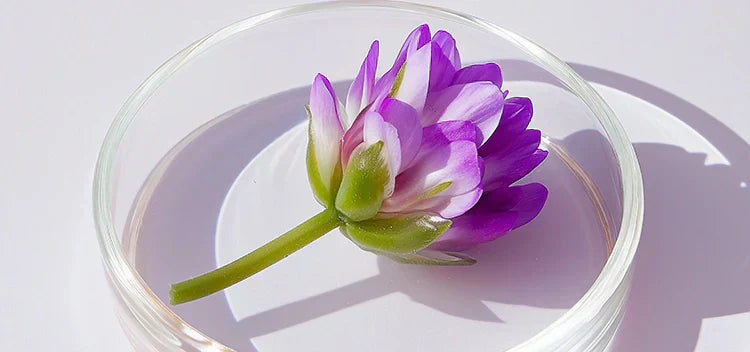 Why Bakuchiol Is the Better Summer Skincare Choice