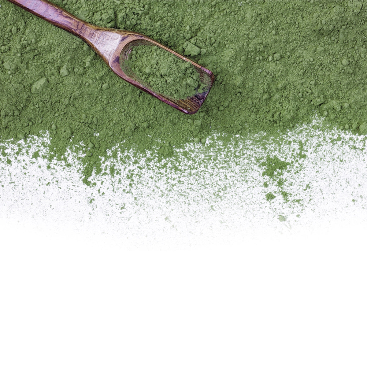 Algae and Seaweed Powder